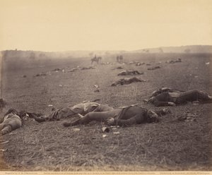 A Harvest of Death